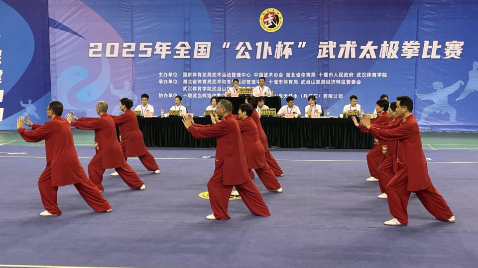 年全国, 李仲华, 极拳