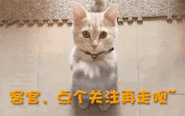 均无低俗等